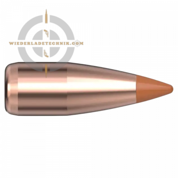 Hornady NTX 22000 Geschoss